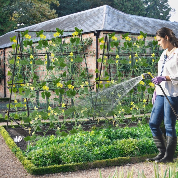 A-frame garden cucumber trellis with netting, sturdy black metal design for climbing plants in an outdoor garden.