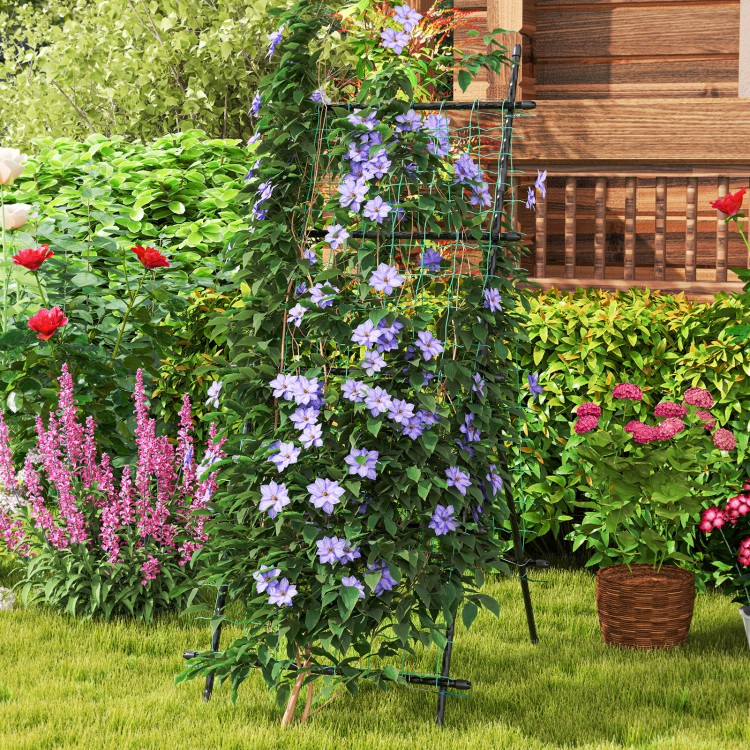 74-inch tall black garden trellis with climbing flowers, designed for stability and support for vines and vegetables.