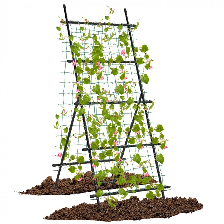 A-frame garden trellis for climbing plants, featuring sturdy PE-coated metal tubes and secure clips for stability.