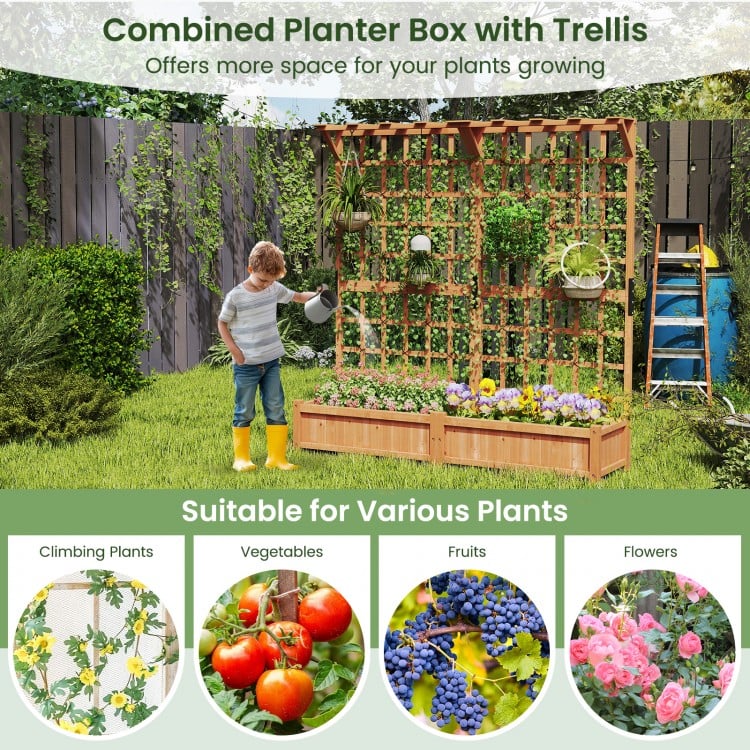 Large wooden planter container with trellis, ideal for climbing plants and vegetables, featuring a hanging roof and.