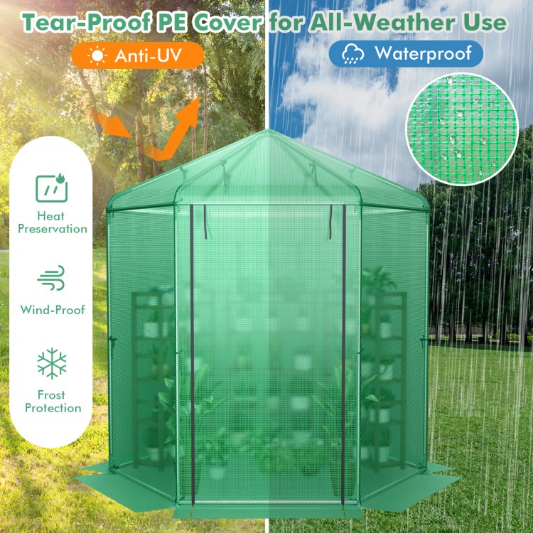 Walk-in hexagonal greenhouse with tear-proof PE cover, featuring a dome top for water drainage and zippered roll-up.