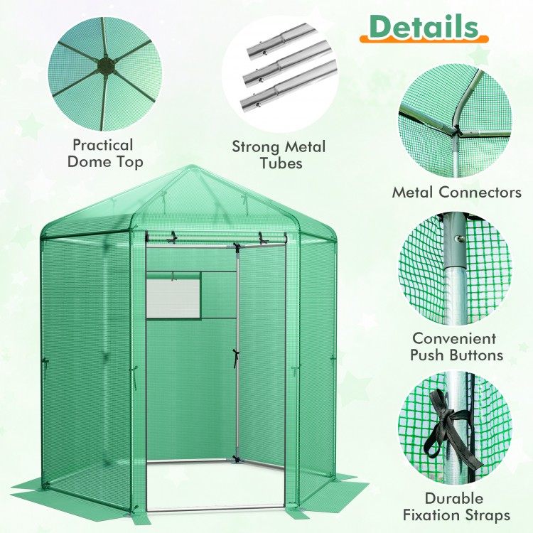 Walk-in hexagonal greenhouse with PE cover, metal frame, and dome top for optimal plant ventilation and protection.