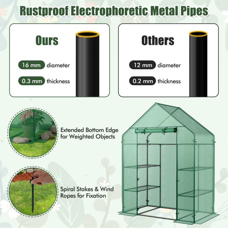Mini portable 4 tier greenhouse with rustproof electrophoretic metal pipes for optimal plant growth and sunlight.