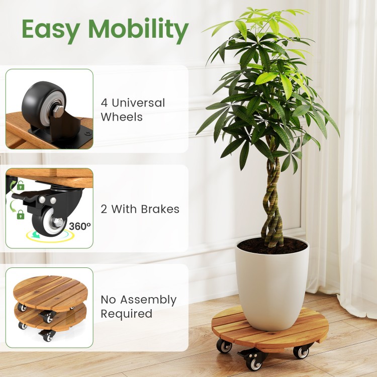 Heavy duty acacia wood rolling plant stand with 360° lockable casters, ideal for stable plant support and easy mobility.