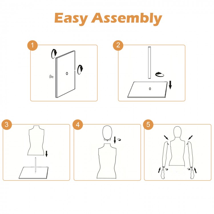 Plastic half body male mannequin assembly steps with adjustable metal base for displaying clothing styles.