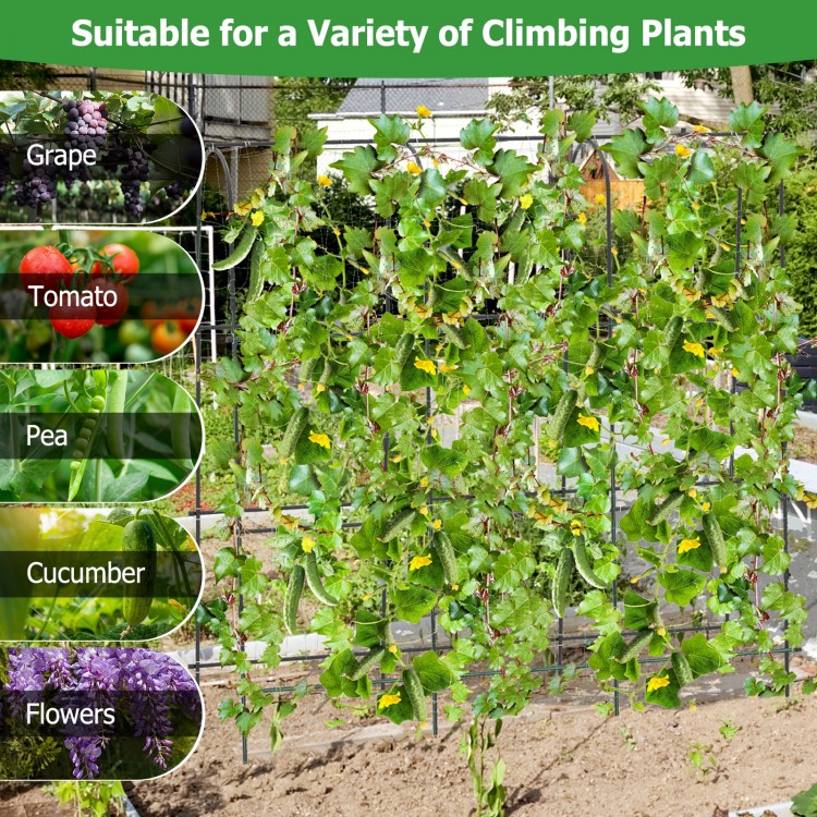 U-shaped tall garden trellis for climbing plants, made of PE-coated metal, ideal for grapes, tomatoes, and cucumbers.