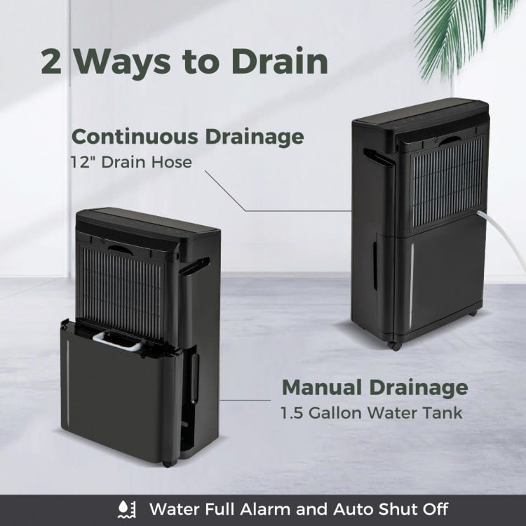 Dehumidifier with continuous and manual drainage options, featuring a 1.5-gallon tank for efficient moisture removal.