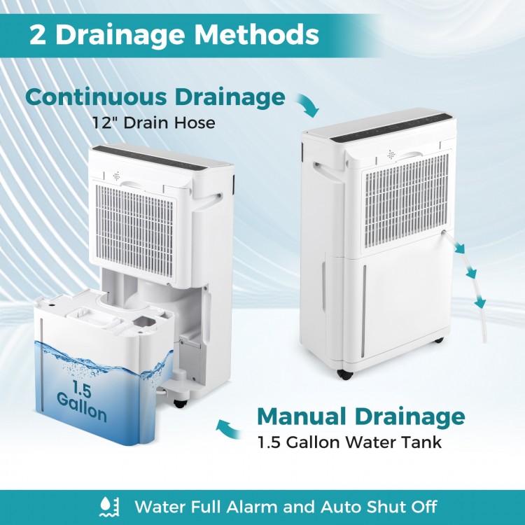 Dehumidifier with 1.5-gallon water tank and 12" drain hose, featuring manual and continuous drainage options.