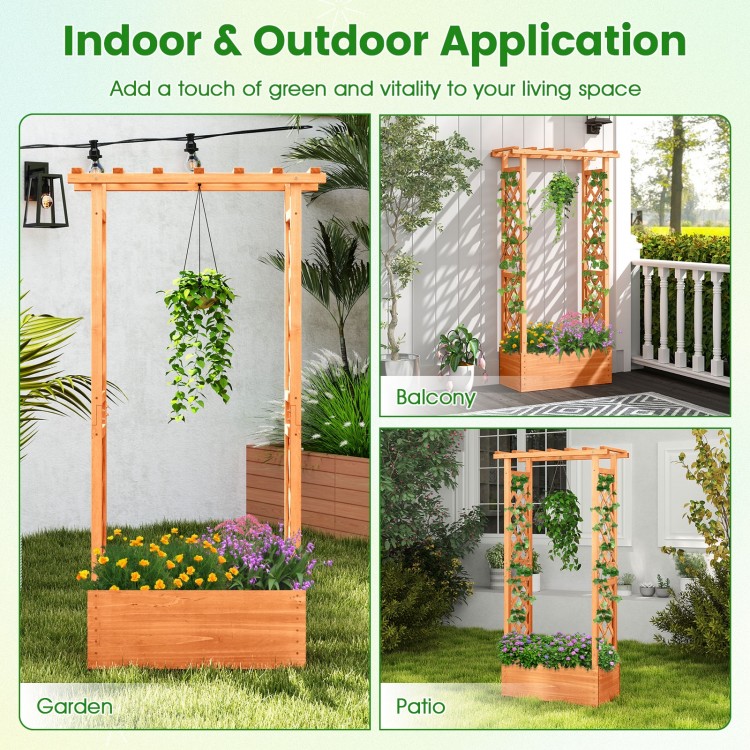 Raised garden bed with side trellis and hanging roof, crafted from fir wood, ideal for climbing plants and outdoor.