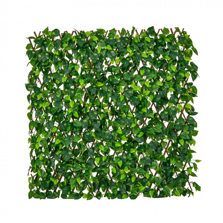 Expandable fence privacy screen featuring realistic faux ivy leaves on a real willow frame, ideal for indoor and.