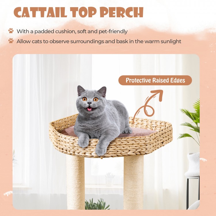 Cattail top perch with padded cushion and protective edges, perfect for cats to relax and bask in sunlight.