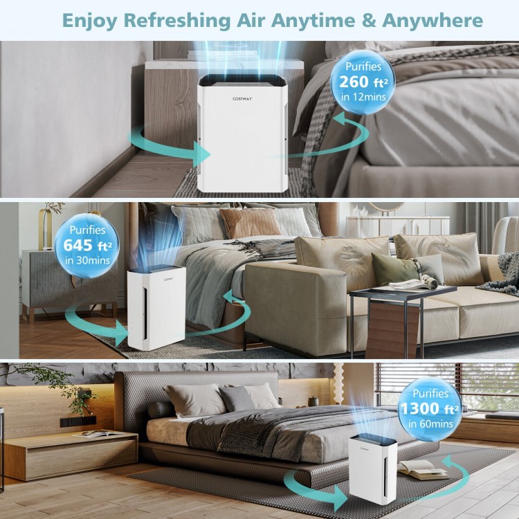 H13 True HEPA air purifier in white, showcasing compact design and adjustable fan speeds for efficient air purification.