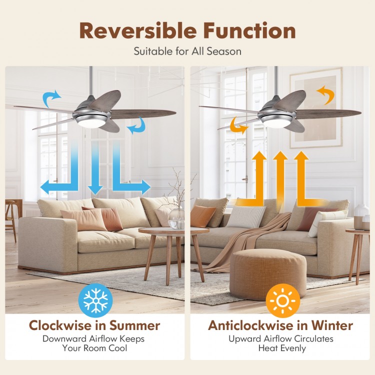52-inch silver gray ceiling fan with lights, featuring reversible motor for year-round use, ideal for living rooms.