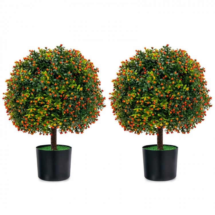 Two artificial boxwood topiary ball trees with orange fruit in black pots, perfect for home decoration and low.