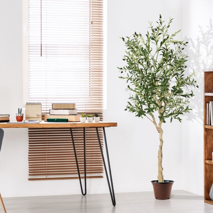 6 feet artificial olive tree with 1264 leaves and 72 fruits in a cement pot, ideal for indoor decoration.