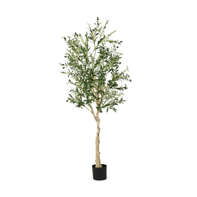 6-foot artificial olive tree with 1264 leaves and 72 fruits in a cement pot, perfect for indoor or outdoor decoration.