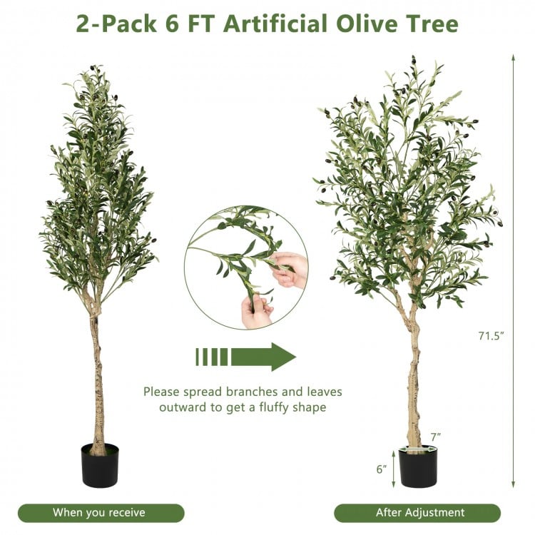 6-foot artificial olive tree with 1264 leaves and 72 fruits in a cement pot, ideal for indoor and outdoor decoration.