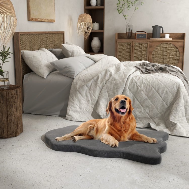 Orthopedic dog bed in gray with memory foam support, perfect for large dogs, placed beside a cozy bed.