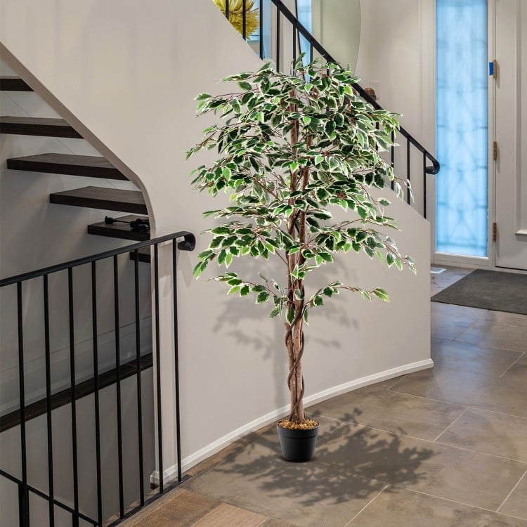 Tall artificial ficus tree with 1008 leaves and a solid wood trunk, perfect for home or office decor.