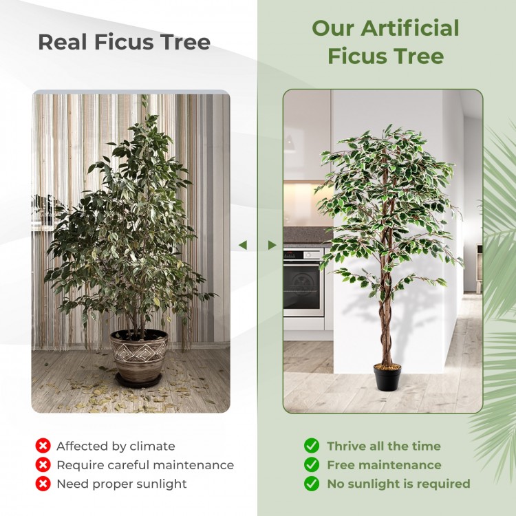 Tall artificial Ficus tree with 1008 leaves and solid wood trunk, perfect for indoor decor without sunlight or.
