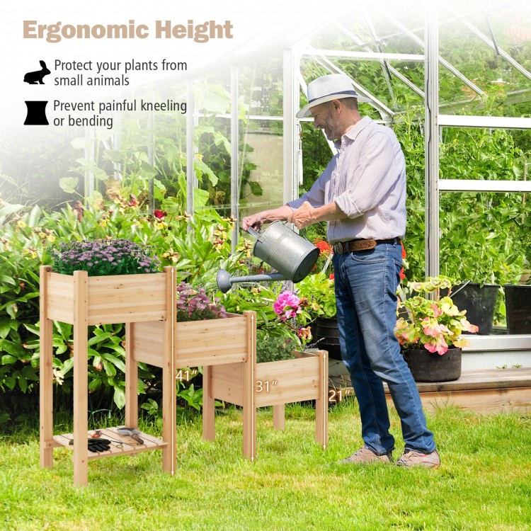 3-tier wooden raised garden bed in natural fir, featuring ergonomic height for easy planting and open storage shelf.
