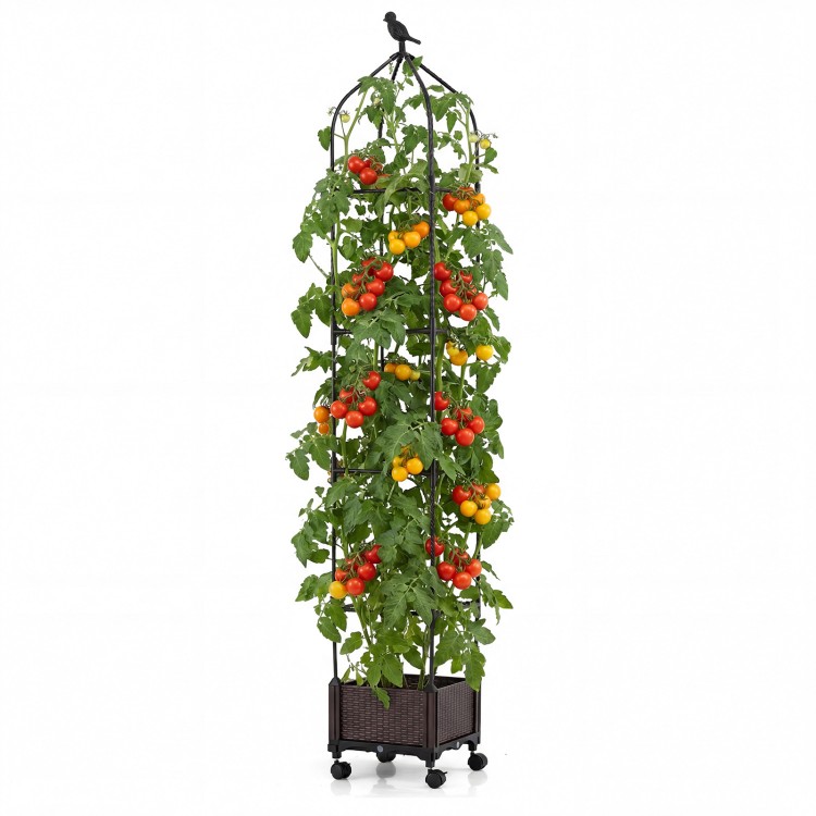 Indoor outdoor raised garden bed with trellis, featuring tomatoes, adjustable height, and wheels for easy mobility.