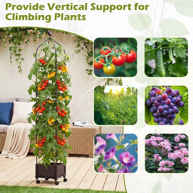 Indoor outdoor raised garden bed with trellis, featuring a black design, wheels, and self-drainage for healthy plant.