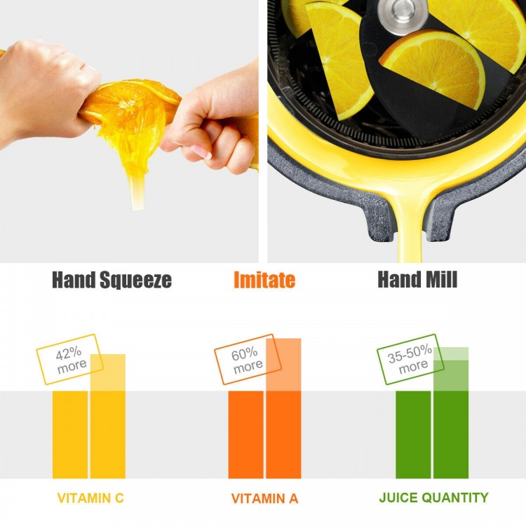 Slow masticating juicer with 4.8" wide feed plate, extracting higher juice yield and nutrition for healthy living.