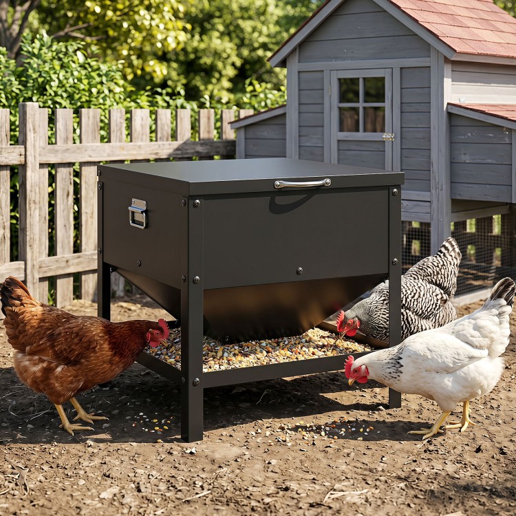 Large capacity black chicken feeding box with openable lid, designed for easy refill and elevated for protection.