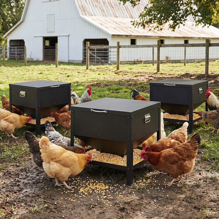 Large capacity black chicken feeding box with openable lid, designed for easy refills and preventing feed waste.