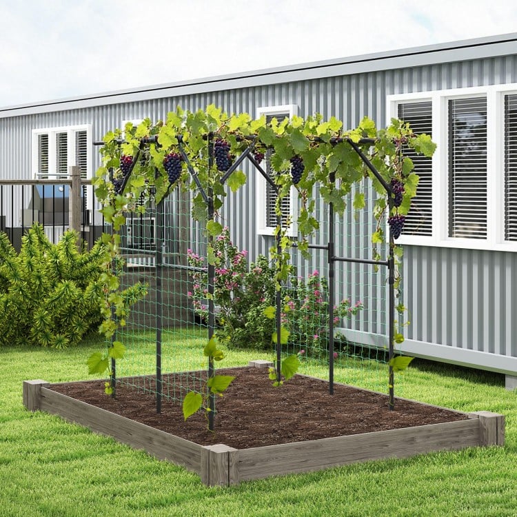 Large garden arch trellis for climbing plants, made of weather-resistant metal, ideal for outdoor grape vine support.