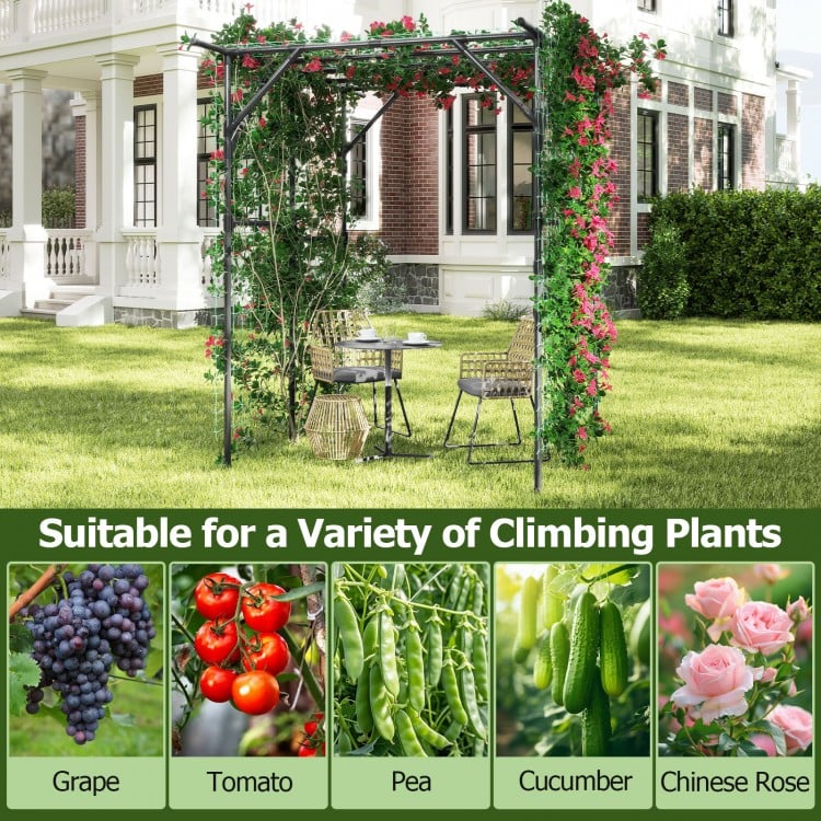 Large garden arch trellis in black for climbing plants, made of weather-resistant metal, ideal for outdoor relaxation.