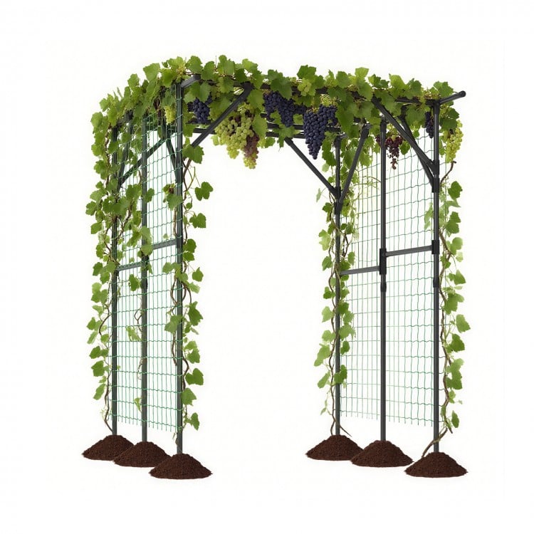 Large black garden arch trellis for climbing plants, made of PE-coated metal, ideal for outdoor grape vine support.