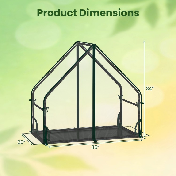 Mini greenhouse dimensions with a sturdy metal frame, waterproof bottom mat, and wind ropes for outdoor stability.