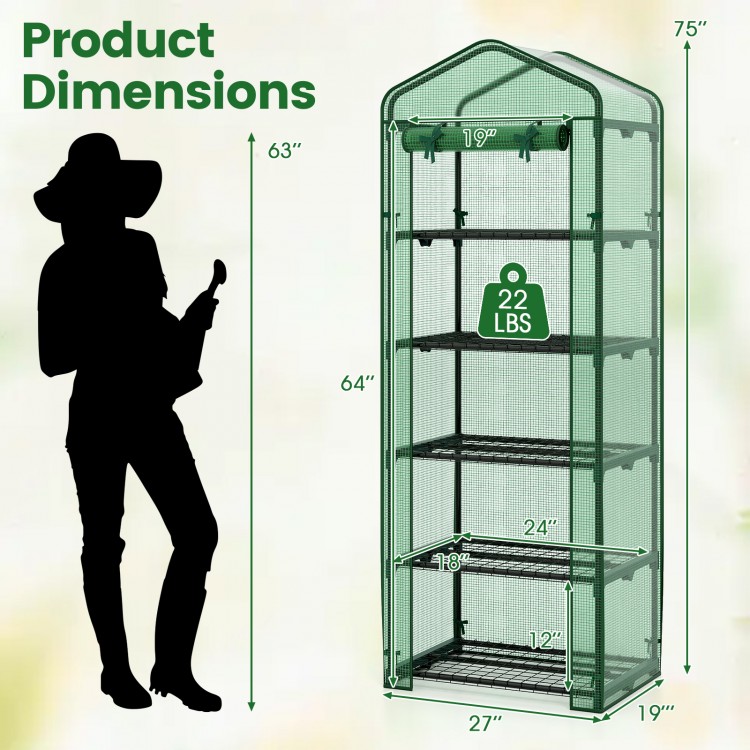 Mini greenhouse with 5 tier shelves in green, featuring a roll-up door and compact design for balconies or terraces.