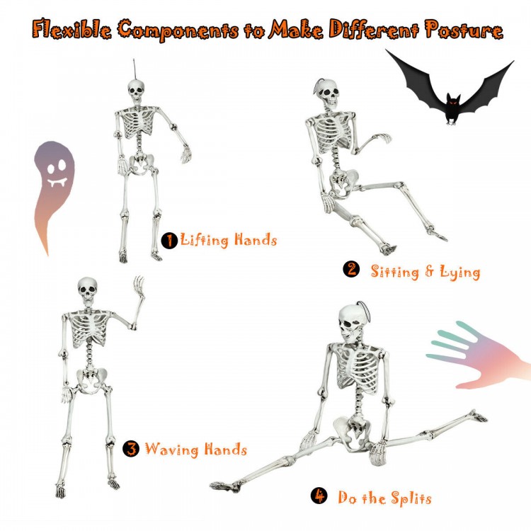 Life-size 5.4-foot Halloween skeleton with movable joints for versatile poses, perfect for spooky decorations.