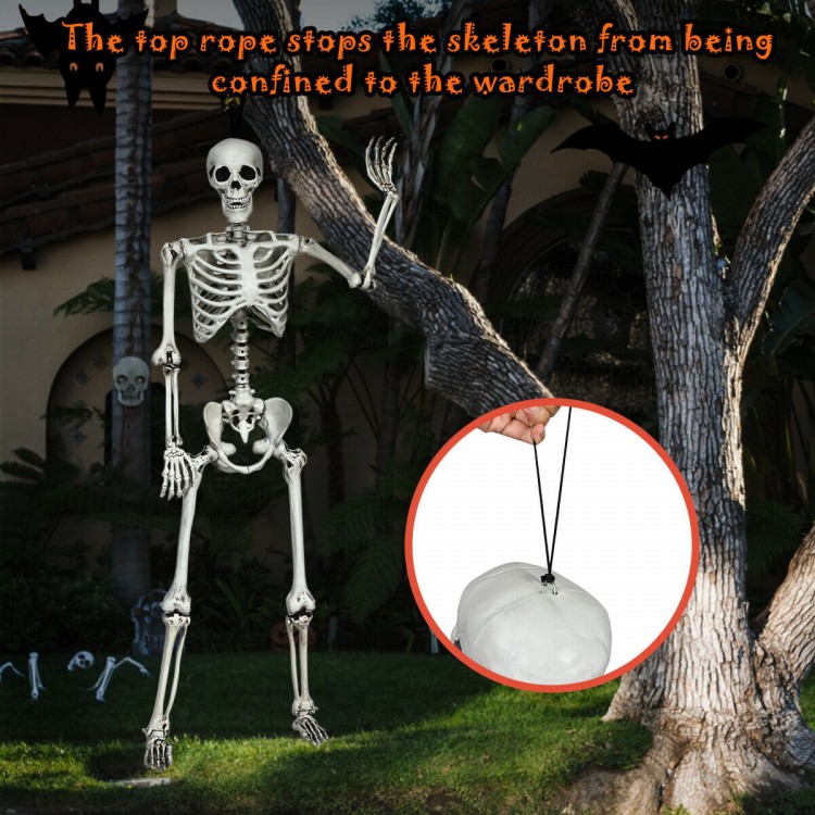 Life-size 5.4-foot Halloween skeleton with movable joints, perfect for outdoor decoration at spooky parties.