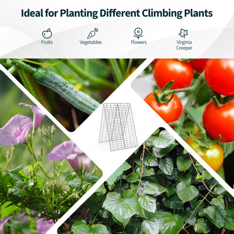 Foldable A-frame trellis supports for climbing plants, made of sturdy steel, ideal for fruits, vegetables, and flowers.