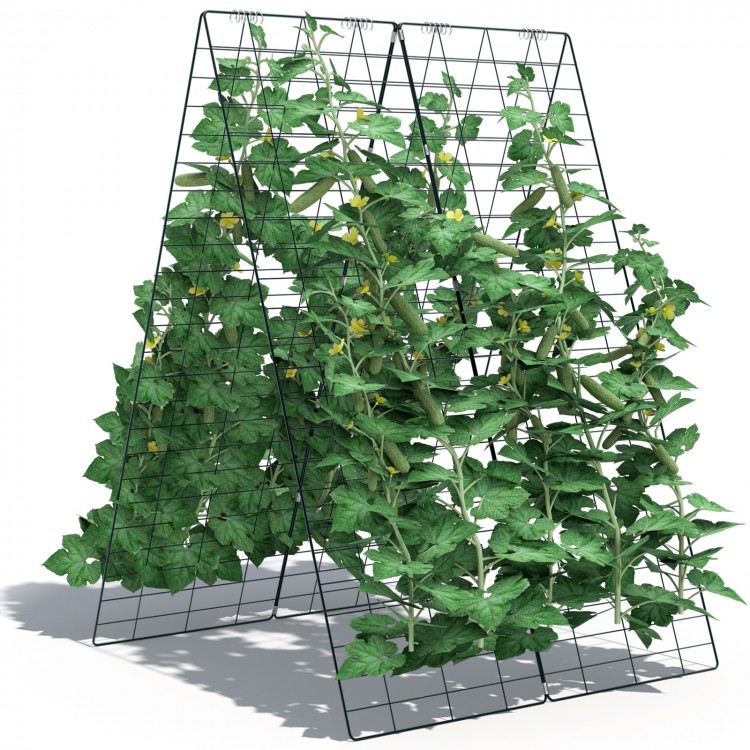 Foldable A-frame trellis plant supports in green, ideal for climbing plants, featuring a sturdy steel frame and large.