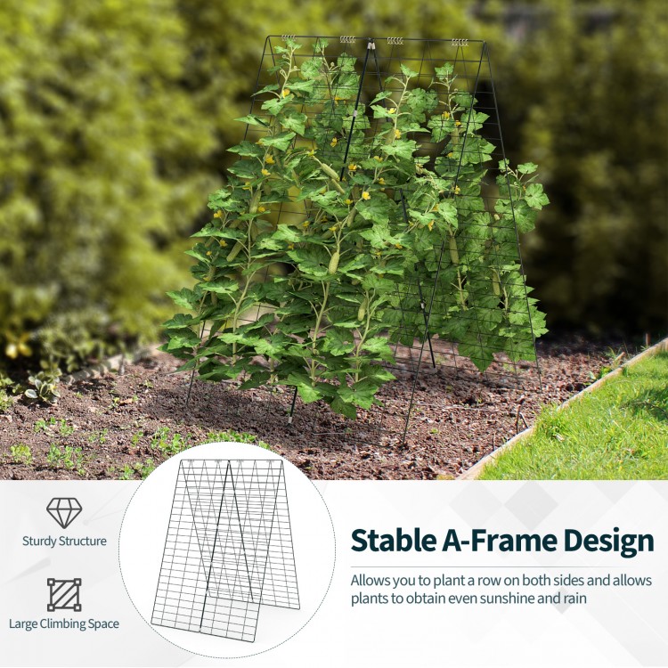 A-frame trellis supports for climbing plants, featuring a sturdy steel frame and large planting area for garden use.