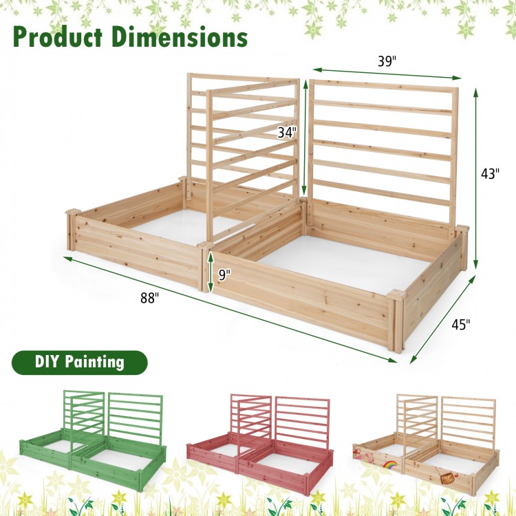 Raised garden bed with two planter boxes and three trellises, made of natural fir wood, ideal for growing climbing.