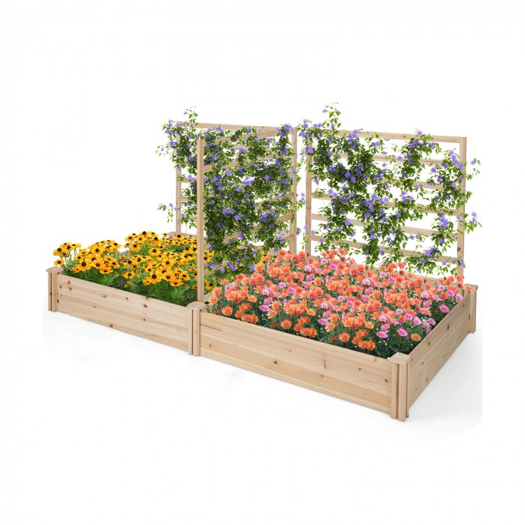 Raised garden bed with two planter boxes and three trellises, made of natural fir wood, ideal for diverse plant growth.