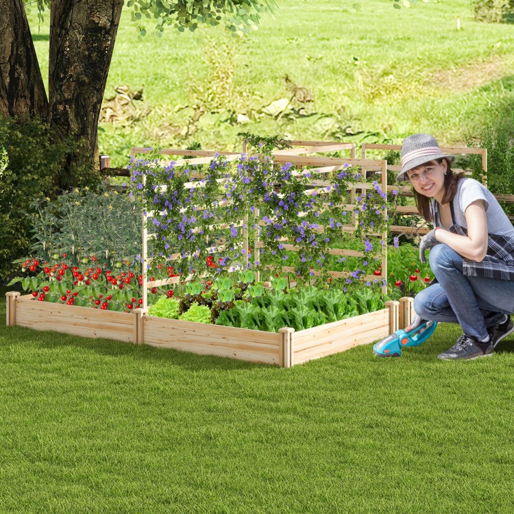 Raised garden bed featuring two planter boxes and three trellises, made of natural fir wood for durable outdoor.