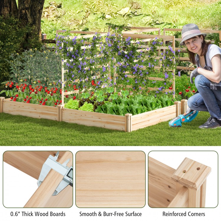 Raised garden bed with two planter boxes and three trellises made of durable natural fir wood for versatile planting.