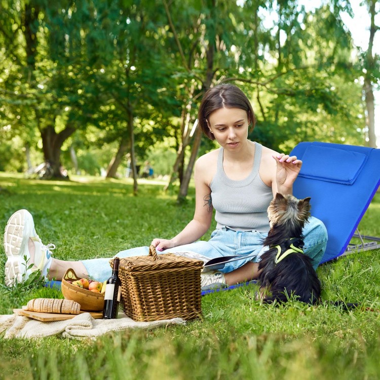 Two adjustable lounge chairs in stripe-blue with a folding table, perfect for outdoor relaxation and sunbathing.
