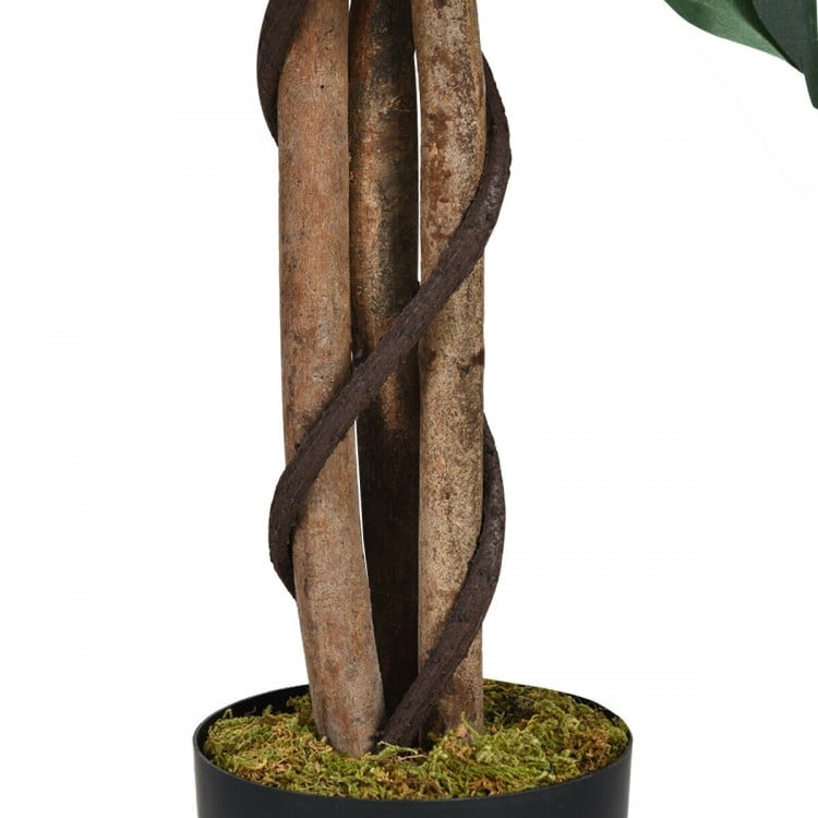 Realistic twisting rattan and hardwood trunk of a 4ft artificial ficus tree with moss in a cement base for indoor decor.