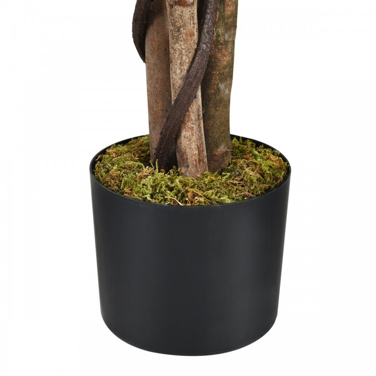 Close-up of the black cement base of a 4ft artificial ficus tree with realistic moss and hardwood trunk for indoor.