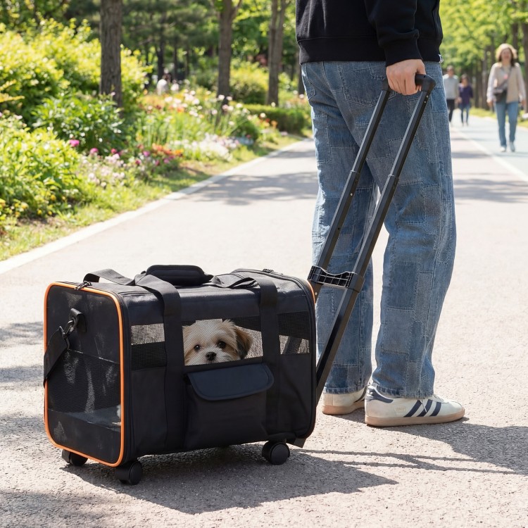 Rolling pet carrier with breathable mesh windows, telescopic pull rod, and wheels for easy travel with your dog.