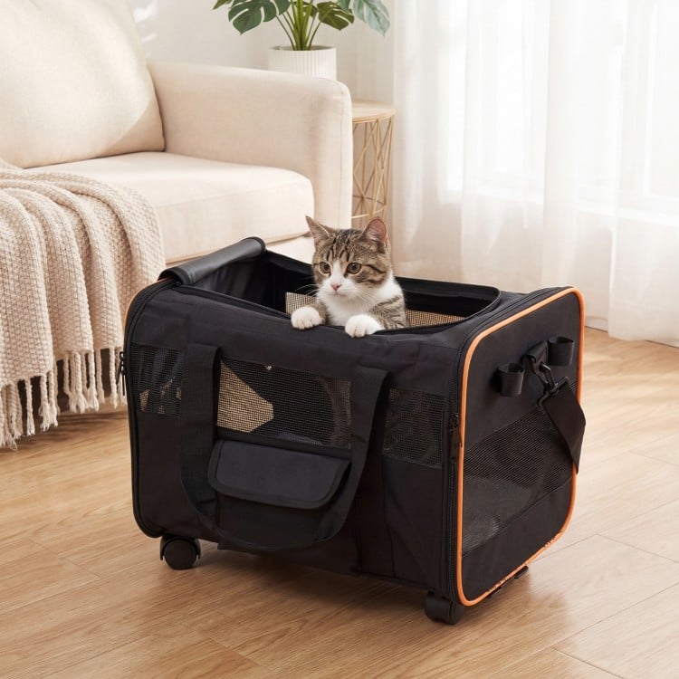 Rolling pet carrier with breathable mesh windows, safety leash, and wheels for easy travel with pets indoors.