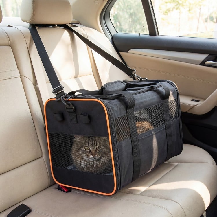 Foldable soft-sided pet carrier with breathable mesh windows, safety leash, and wheels for easy travel in a car.